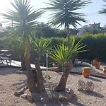 Nila's فيلة